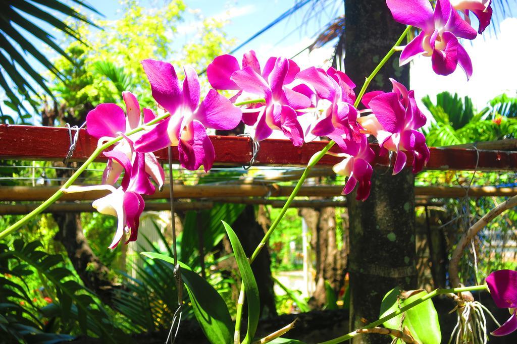 Kampot Guesthouse المظهر الخارجي الصورة